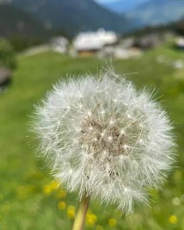 Ganahl Hébergement de vacances